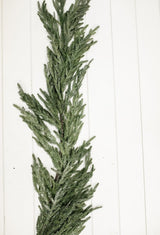 48 Inch Iced Norfolk Pine Christmas Garland