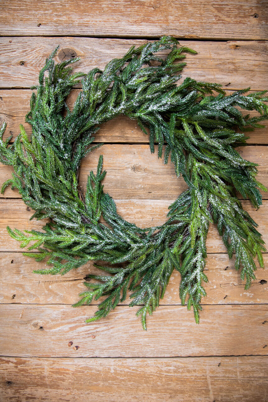 24” Iced Garden Norfolk Pine Wreath
