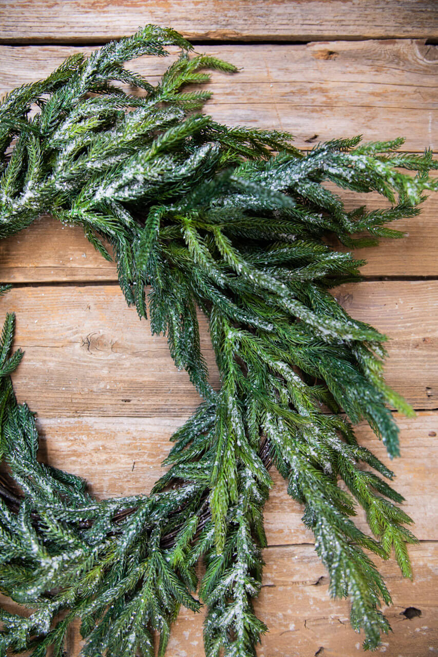 24” Iced Garden Norfolk Pine Wreath