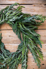 24” Iced Garden Norfolk Pine Wreath