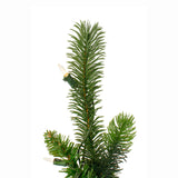 6 ft. Pre-Lit Tapered Salem Pine Christmas Tree with Warm White Lights