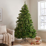 6 ft. Pre-Lit Tapered Salem Pine Christmas Tree with Warm White Lights