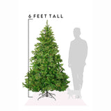 6 ft. Pre-Lit Tapered Salem Pine Christmas Tree with Warm White Lights