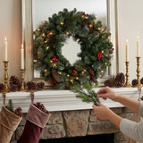 Pre-Lit Crestwood Spruce Wreath with Clear Lights, 24 Inch (Plug-In)