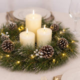 Pre-Lit Whitter Pine Wreath with Warm White LED Lights, 24 Inch