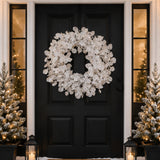 24IN Winter Frost White Christmas Wreath with Silver Accents