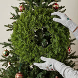 Arborvitae Wreath, 24 Inch