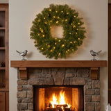 Pre-Lit Norwood Fir Wreath with Twinkly Smart LED Lights, 24 Inch Christmas Decor