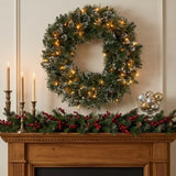 Pre-Lit 24 in. Glittery Bristle Pine Christmas Wreath with 50 Clear Lights