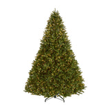 9ft Pre-Lit Jersey Fraser Fir Christmas Tree with Clear Lights
