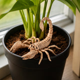 9" Scorpion Skeleton Halloween Decoration (Plastic Creepy-Crawly Prop)