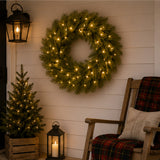 Pre-Lit 24 in. Norwood Fir Christmas Wreath with Twinkly Smart LED Lights