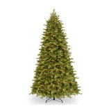 9ft Pre-Lit Princeton Fraser Fir Christmas Tree with Dual Color LED Lights & PowerConnect