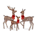 Lighted Christmas Deer Family Outdoor Decor Set with LED Lights