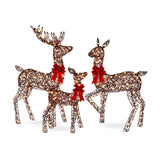 Lighted Christmas Deer Family Outdoor Decor Set with LED Lights