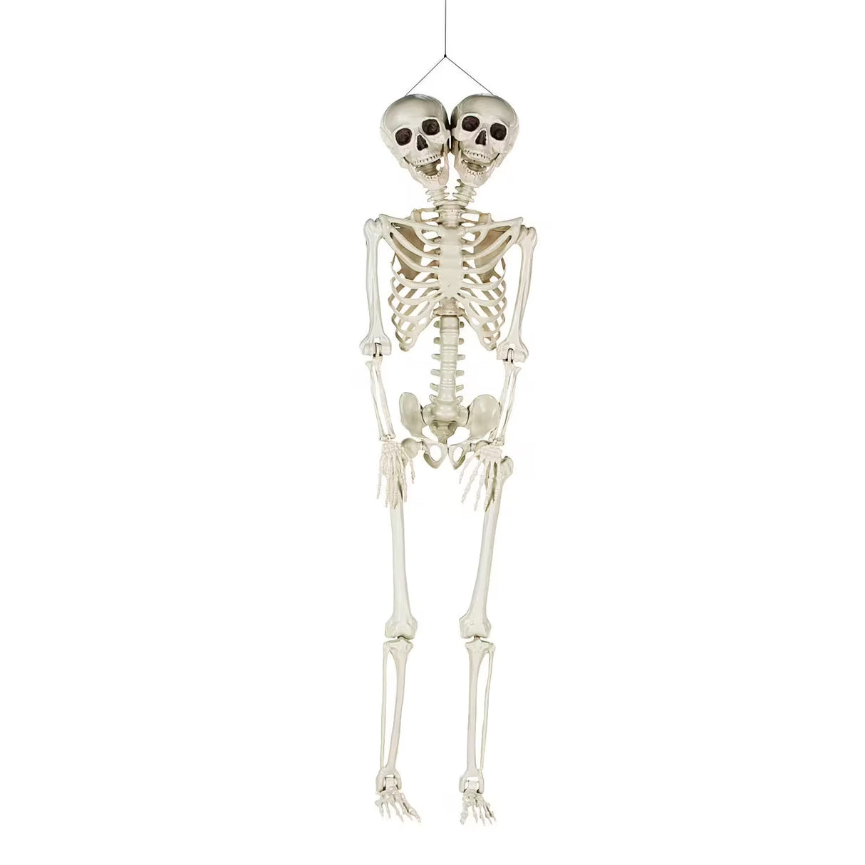 5 ft Two-Headed Life-Size Posable Skeleton Halloween Decoration