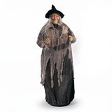 59" x 54" Floating Witch Animated Halloween Decoration