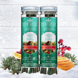 Scented Ornaments, 2- Pack- 6ct Bottle, O Christmas Tree, Fragrance-Infused Paper Sticks