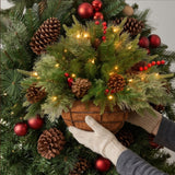 Pre-Lit Colonial Fir Hanging Basket with LED Lights, 20 Inch Christmas Decor