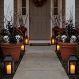 Bag of Skulls Halloween Decorations (12 Pc Set, 5 inch Plastic Skulls)