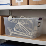 5 Ft Life-Size Posable Plastic Skeleton Halloween Decoration