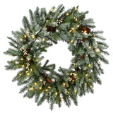 30IN Pre Lit Snowy Morgan Spruce Wreath with Smart Twinkly LED Lights
