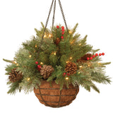 Pre-Lit Colonial Fir Hanging Basket with LED Lights, 20 Inch Christmas Decor