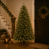 9ft Pre-Lit Dunhill Fir Christmas Tree with 900 Clear Lights