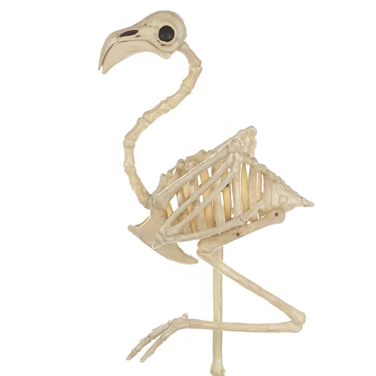 33 3/4" Flamingo Plastic Skeleton Halloween Decoration Yard Prop