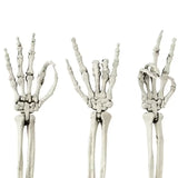 Skeleton Hand Groundbreaker Halloween Decorations