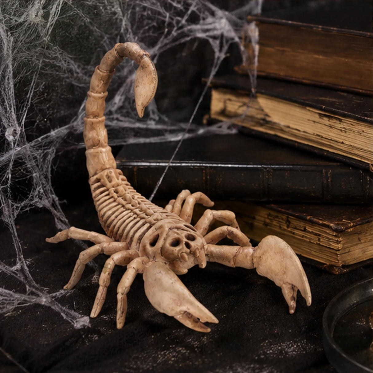 9" Scorpion Skeleton Halloween Decoration (Plastic Creepy-Crawly Prop)