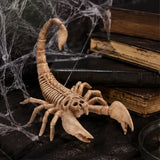 9" Scorpion Skeleton Halloween Decoration (Plastic Creepy-Crawly Prop)