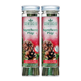 Scentsicles Snowberry Pine Scented Ornament Sticks 2 Pack
