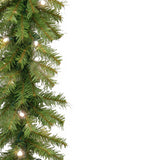 Pre-Lit Norwood Fir Garland with Warm White LED Lights, 9 Foot