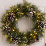 Pre-Lit Whitter Pine Wreath with Warm White LED Lights, 24 Inch