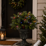 Pre-Lit Crestwood Spruce Porch Bush with Smart Twinkly LED Lights, Plug-In