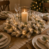 Pre-Lit Snowy Sheffield Spruce Wreath with Smart Twinkly LED Lights, 24 Inch