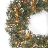 Pre-Lit Glittery Bristle Pine Wreath with Clear Lights, 24 Inch
