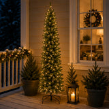 10ft Pre-Lit North Valley Spruce Pencil Slim Christmas Tree with Clear Lights