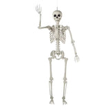 5 ft Life-Size Posable Plastic Skeleton Halloween Decoration