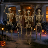 5 ft Life Size Posable Skeleton Halloween Decorations – 4 Pc Set