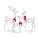 Lighted Christmas Deer Family Outdoor Decor Set with LED Lights