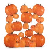 Bulk 50 Pc. Jumbo Orange Pumpkin Classroom Wall Cutouts (7 3/4" – 17 1/4")