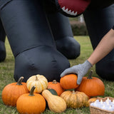 20 ft. Halloween Black Cat Inflatable Decoration with LED Lights, Plug-In