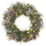 Pre-Lit 24 in. Whitter Pine Christmas Wreath with Warm White LED Lights