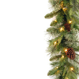 9FT Pre Lit Colonial Fir Garland with Dual Color LED Lights