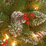 Pre-Lit Glittery Mountain Spruce Wreath with Warm White LED Lights, 24 Inch