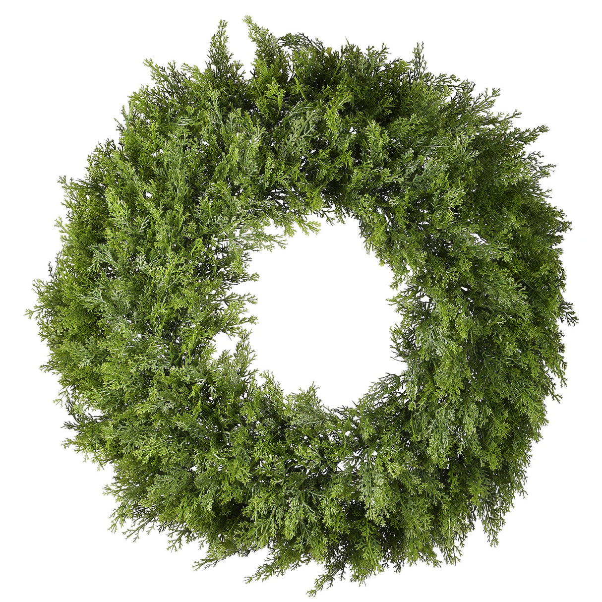 Arborvitae Wreath, 24 Inch