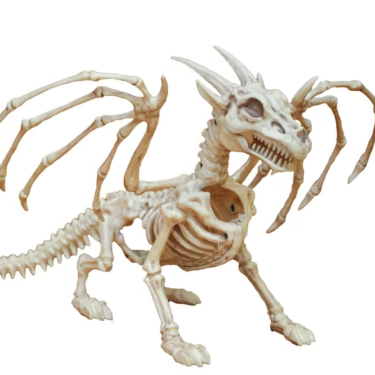 10" x 13" Small Dragon Skeleton Halloween Decoration (Plastic Prop)