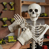 5 Ft Life-Size Posable Plastic Skeleton Halloween Decoration